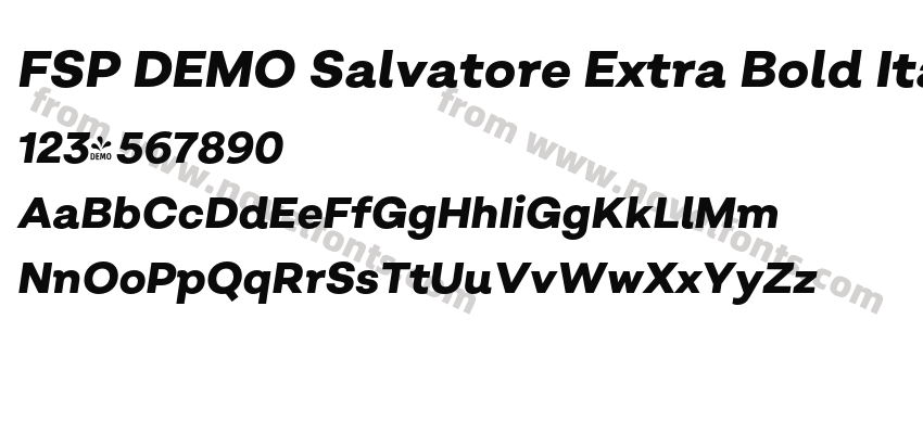FSP DEMO Salvatore Extra Bold Italic RegularPreview
