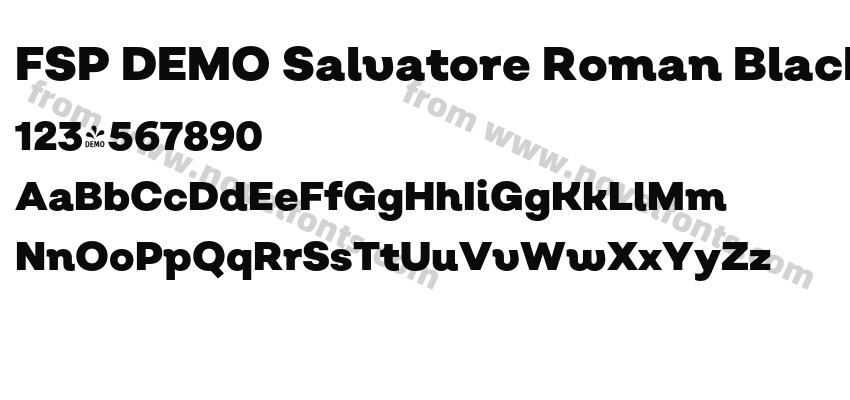 FSP DEMO Salvatore Roman Black RegularPreview