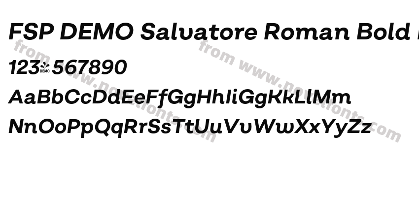 FSP DEMO Salvatore Roman Bold Italic RegularPreview