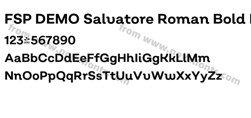 FSP DEMO Salvatore Roman Bold RegularPreview