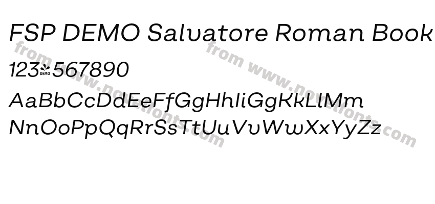 FSP DEMO Salvatore Roman Book Italic RegularPreview