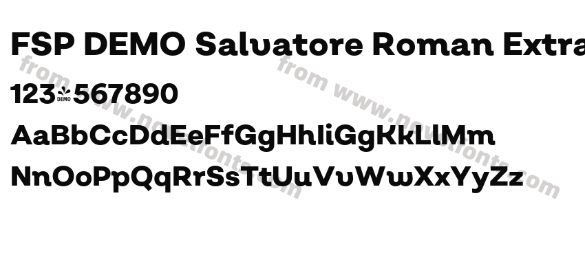 FSP DEMO Salvatore Roman Extra Bold RegularPreview