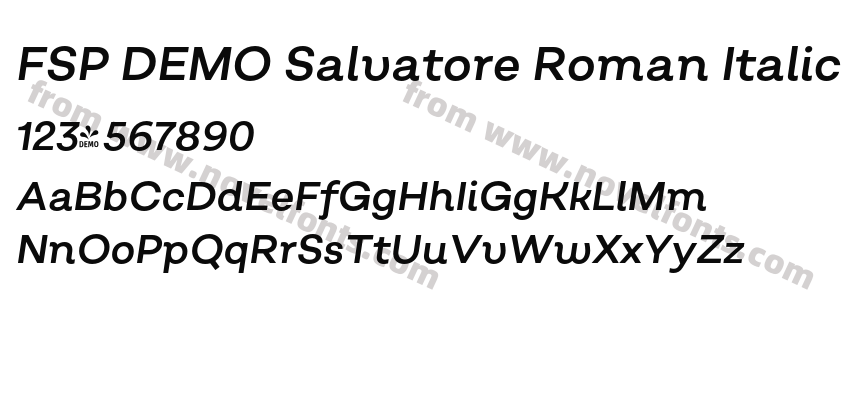 FSP DEMO Salvatore Roman Italic RegularPreview