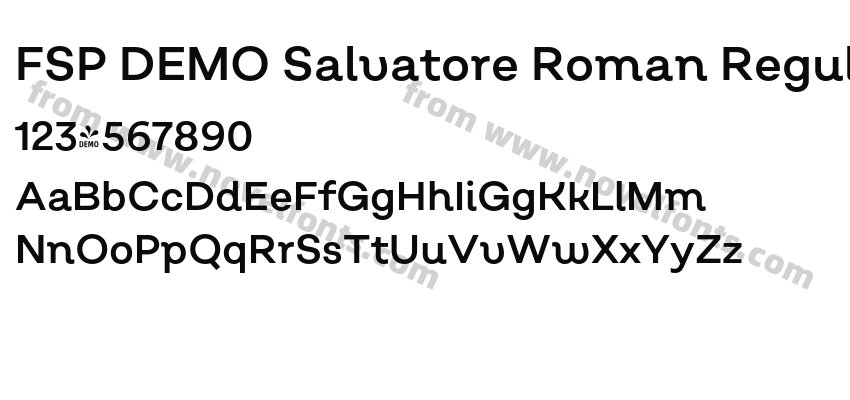 FSP DEMO Salvatore Roman RegularPreview