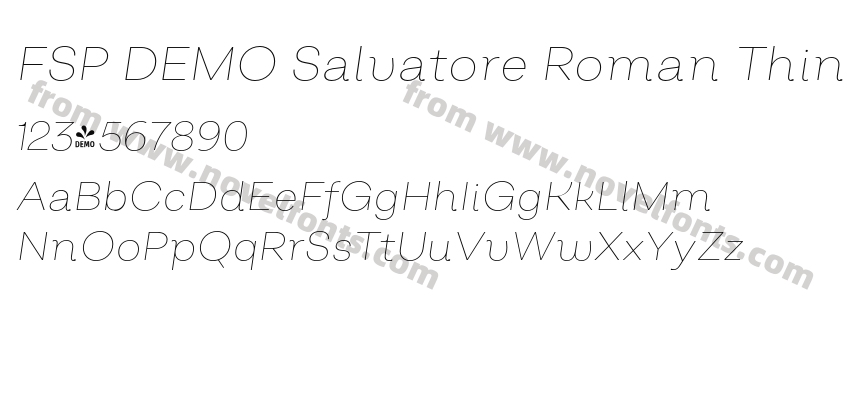 FSP DEMO Salvatore Roman Thin Italic RegularPreview