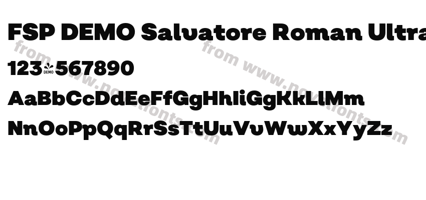 FSP DEMO Salvatore Roman Ultra Black RegularPreview