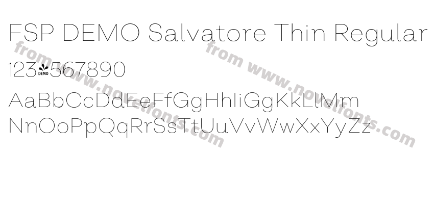 FSP DEMO Salvatore Thin RegularPreview