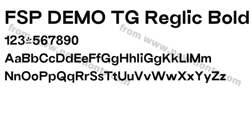 FSP DEMO TG Reglic BoldPreview