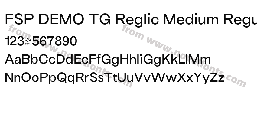 FSP DEMO TG Reglic Medium RegularPreview