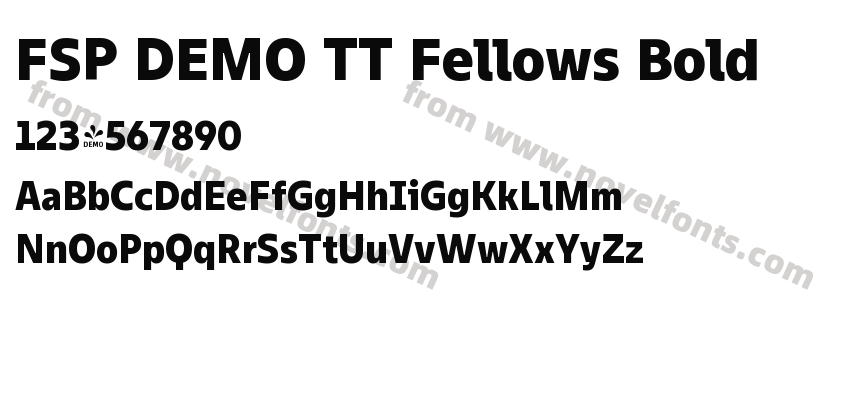 FSP DEMO TT Fellows BoldPreview