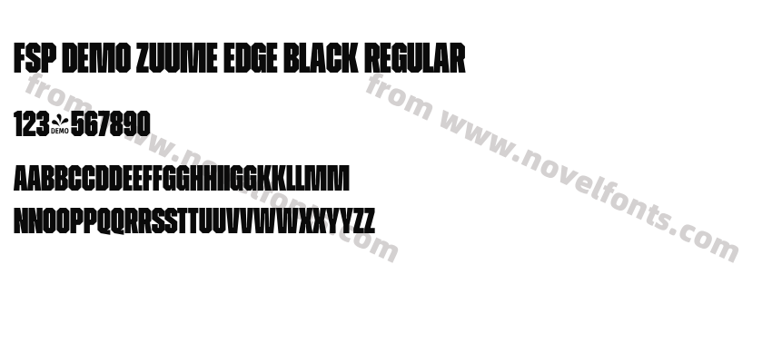 FSP DEMO Zuume Edge Black RegularPreview