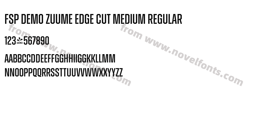 FSP DEMO Zuume Edge Cut Medium RegularPreview