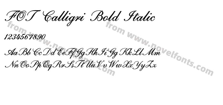 FOT Calligri Bold ItalicPreview