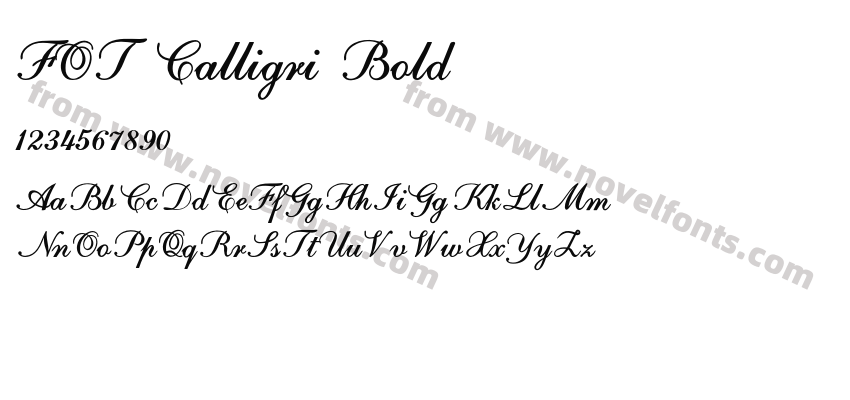 FOT Calligri BoldPreview
