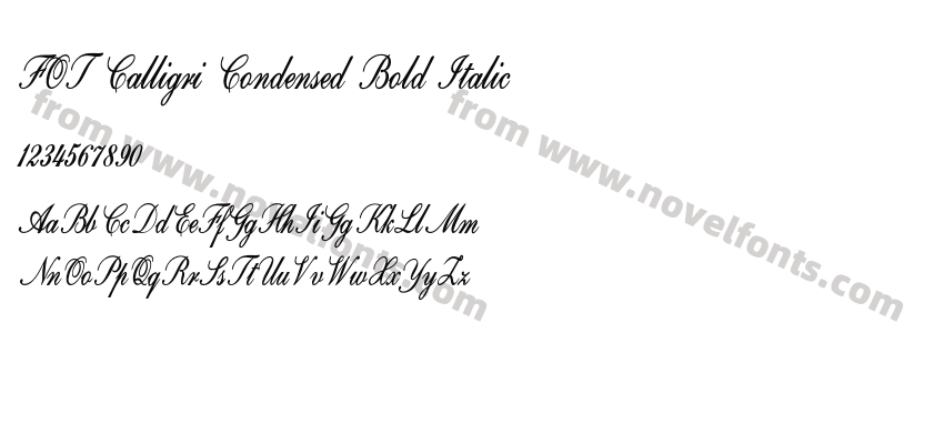 FOT Calligri Condensed Bold ItalicPreview