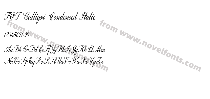FOT Calligri Condensed ItalicPreview