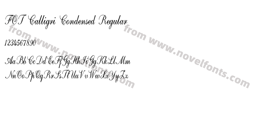 FOT Calligri Condensed RegularPreview