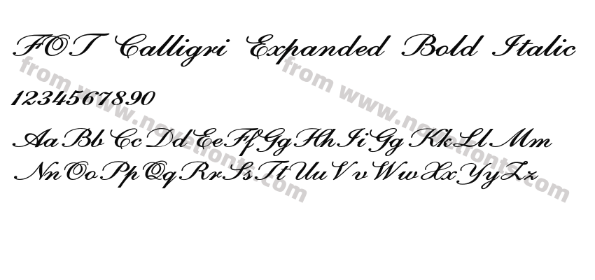 FOT Calligri Expanded Bold ItalicPreview