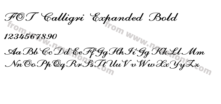 FOT Calligri Expanded BoldPreview