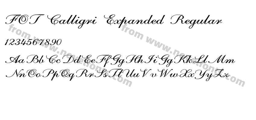 FOT Calligri Expanded RegularPreview