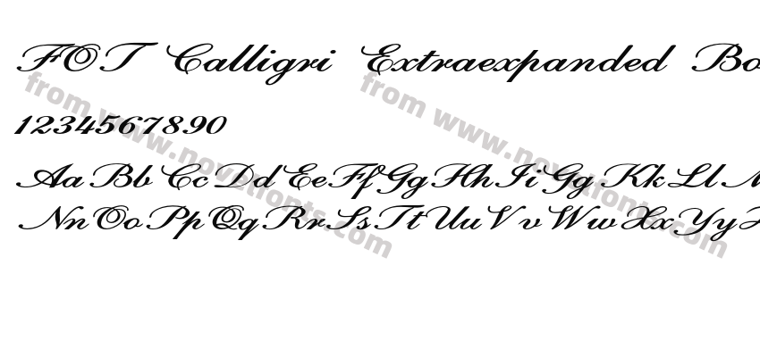 FOT Calligri Extraexpanded Bold ItPreview