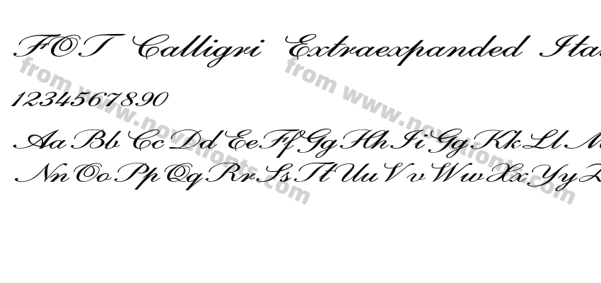 FOT Calligri Extraexpanded ItalicPreview