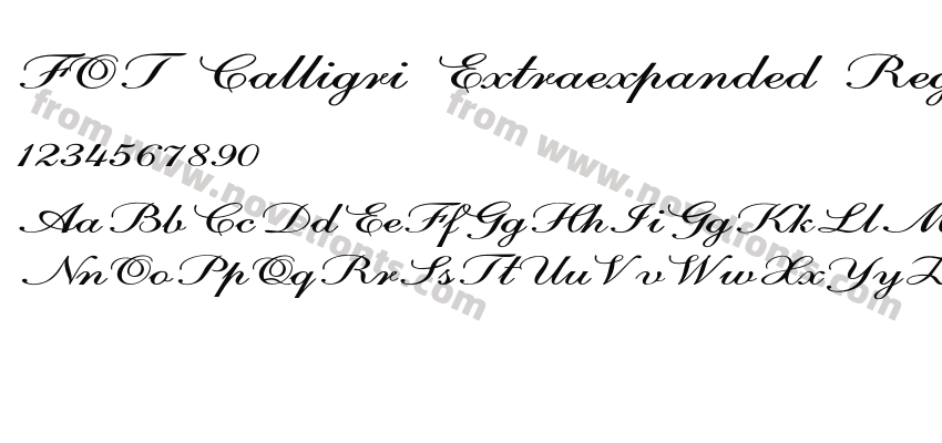 FOT Calligri Extraexpanded RegularPreview