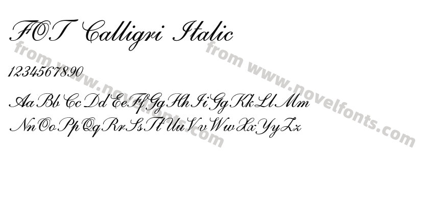 FOT Calligri ItalicPreview