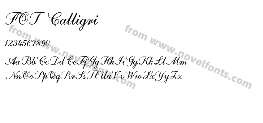 FOT CalligriPreview