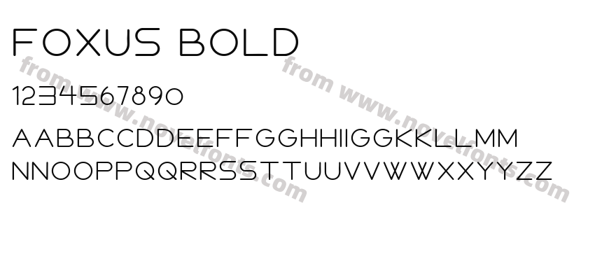 FOXUS BOLDPreview