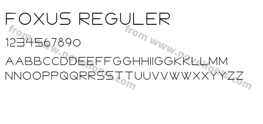 FOXUS REGULERPreview