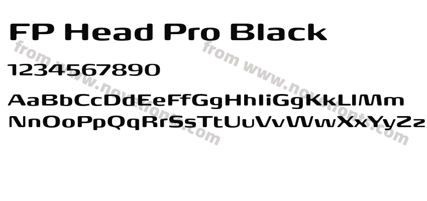 FP Head Pro BlackPreview