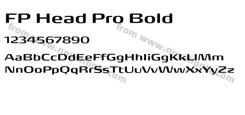 FP Head Pro BoldPreview