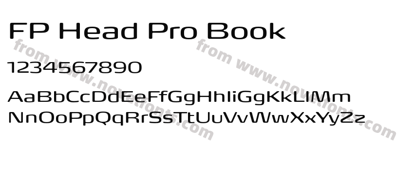 FP Head Pro BookPreview