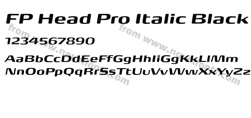 FP Head Pro Italic BlackPreview