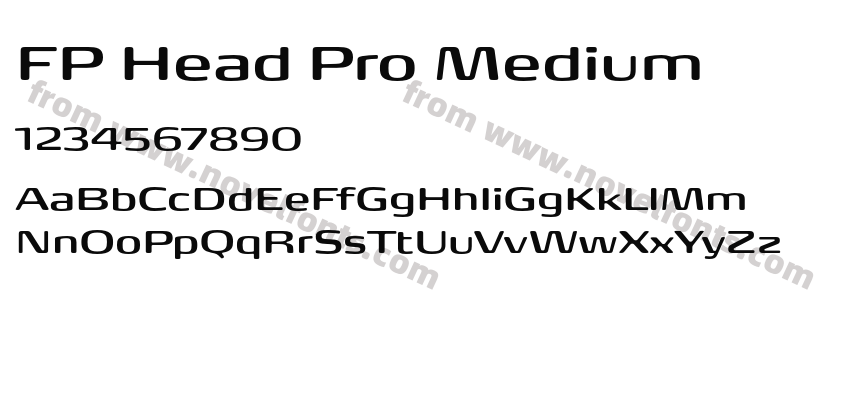 FP Head Pro MediumPreview