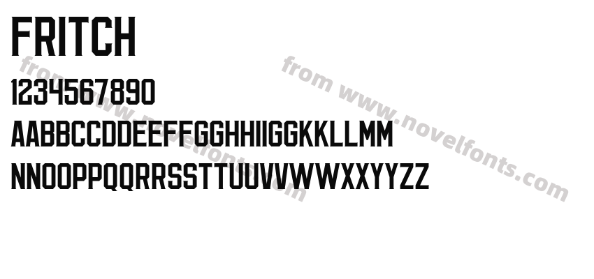 FRITCHPreview