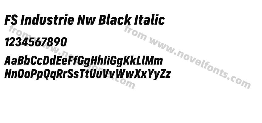 FS Industrie Nw Black ItalicPreview