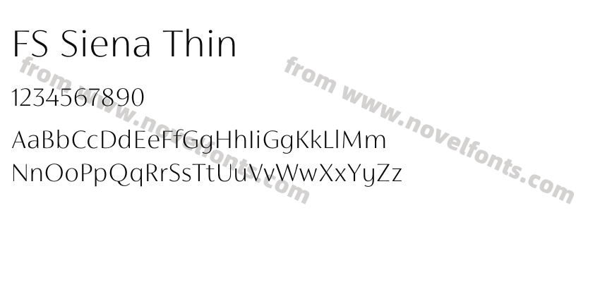 FS Siena ThinPreview