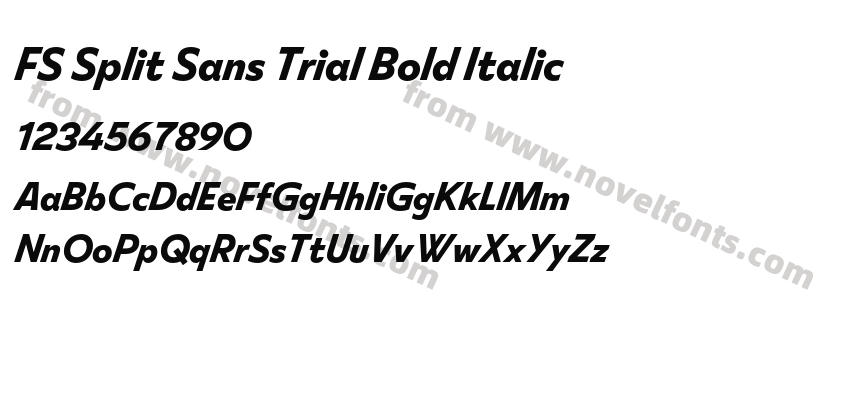 FS Split Sans Trial Bold ItalicPreview