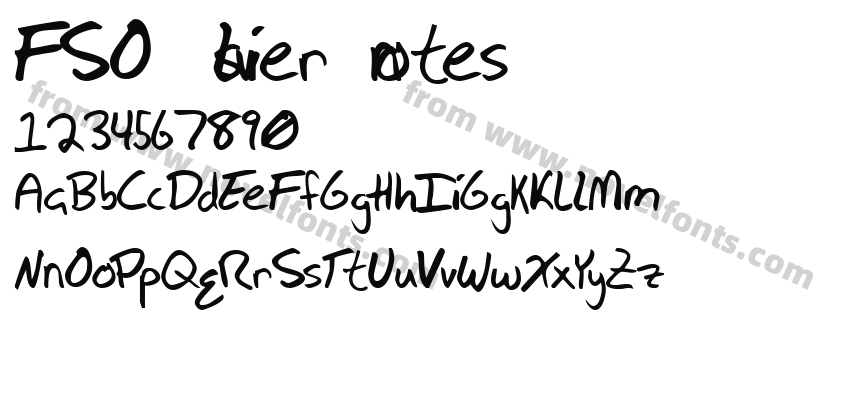 FSO silver notesPreview