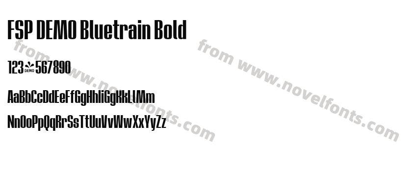 FSP DEMO Bluetrain BoldPreview