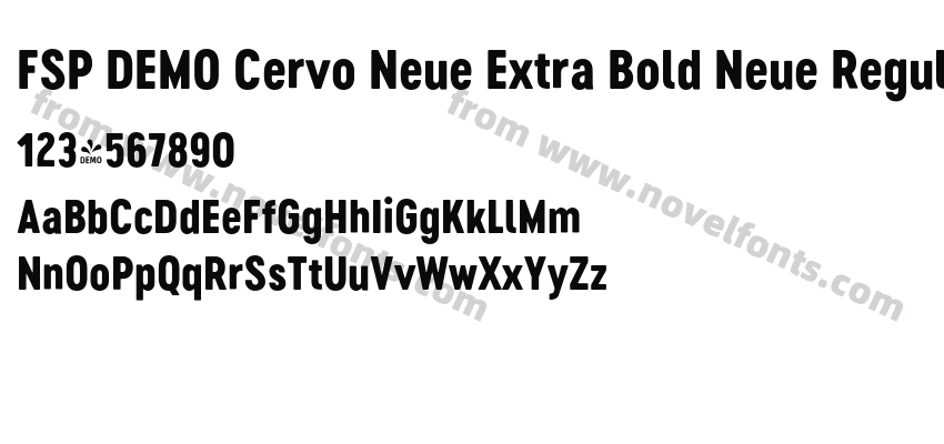 FSP DEMO Cervo Neue Extra Bold Neue RegularPreview