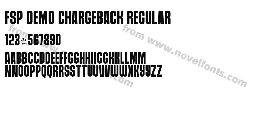 FSP DEMO Chargeback RegularPreview
