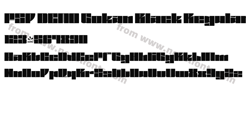 FSP DEMO Gokan Black RegularPreview