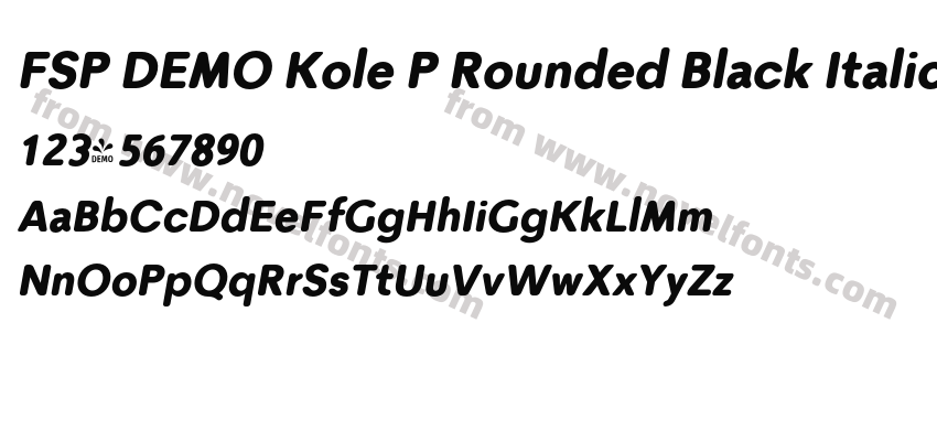 FSP DEMO Kole P Rounded Black ItalicPreview