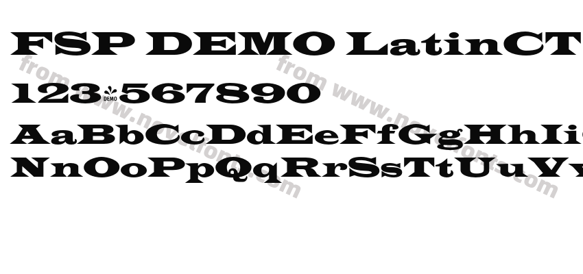 FSP DEMO LatinCT Wide RegularPreview