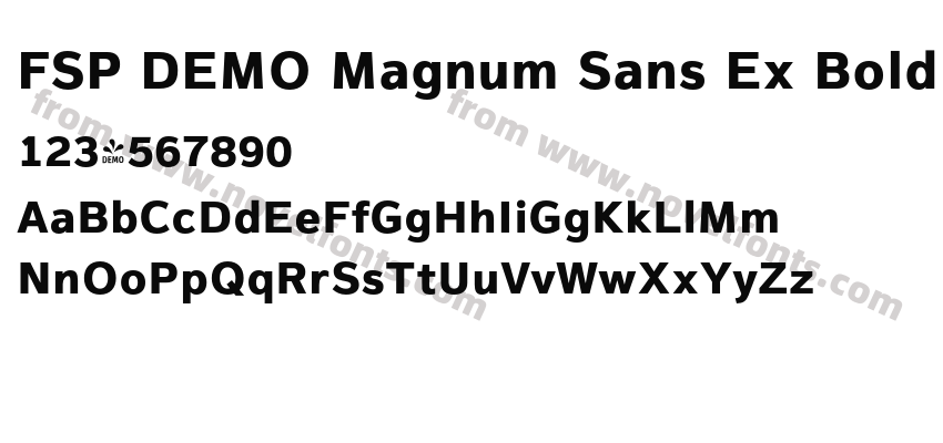 FSP DEMO Magnum Sans Ex Bold RegularPreview