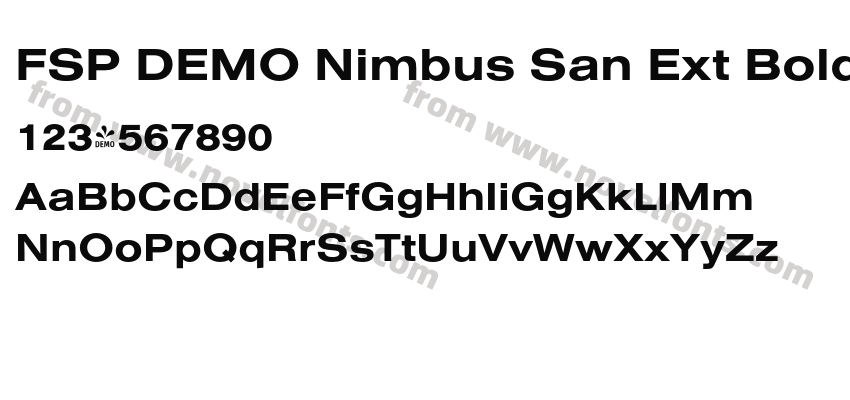 FSP DEMO Nimbus San Ext BoldPreview