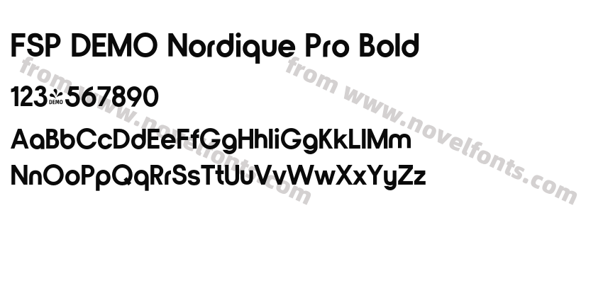 FSP DEMO Nordique Pro BoldPreview